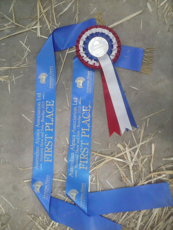 show results